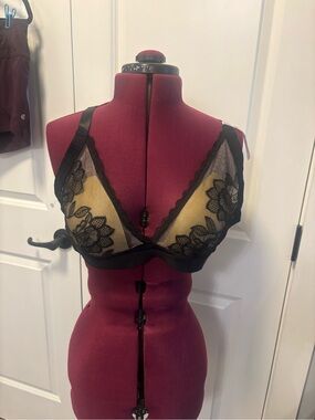 Daisy Fuentes Black Lace Sheer Bralette with Gold Accent